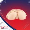 Artificial Silicone Mini skirt Ass & Vagina Masturbator
