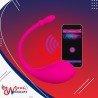 Lovense LUSH Wireless Bluetooth App Vibrator For Her