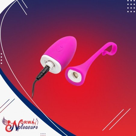 IRENA I Smartphone Controlled Vibrator