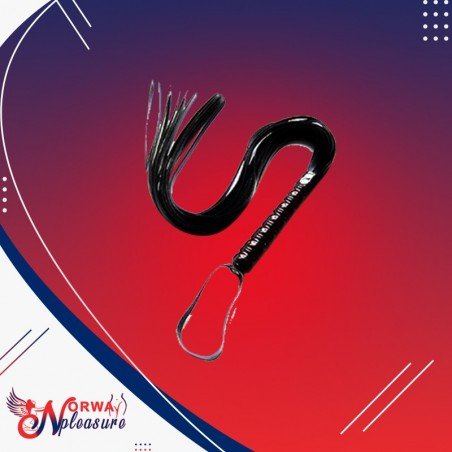 Leather Whip