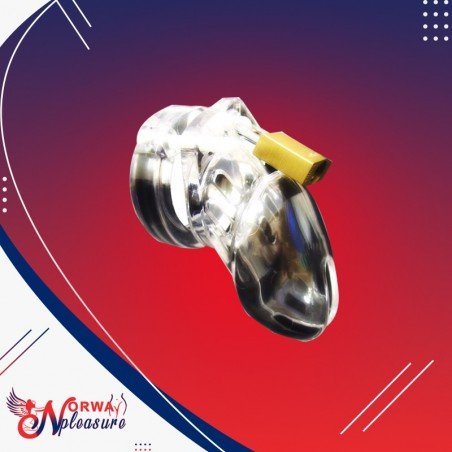Chastity Lock CB-6000 S