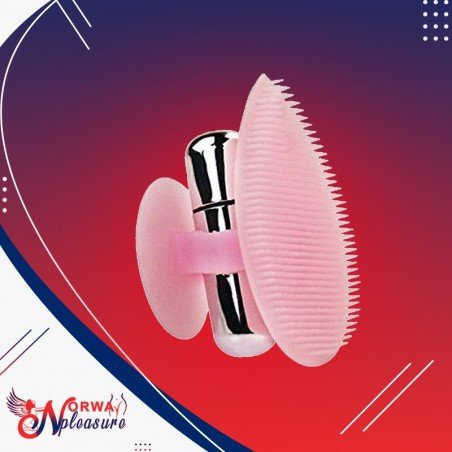 Seducive Pussy Vibrator