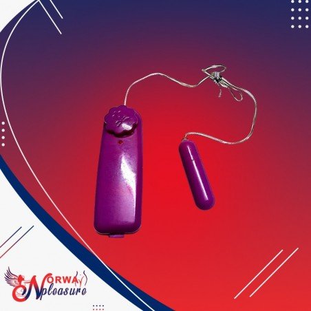 Personal Vibration Jump Egg Vibrating Bullet Massager