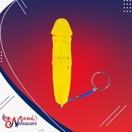 MINI PUSSY VIBRATION MASSAGER