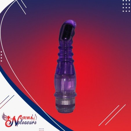 Hot Vibe Fun Vibrator