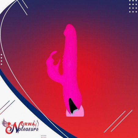 PAULA RABBIT VIBRATOR